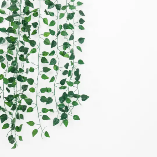 Renovate Your Home With These 9 Effective Touches 3 Give Garden Air With Artificial Ivies